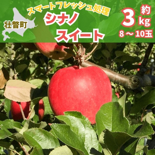 北海道壮瞥町　りんご(スマートフレッシュ)　品種名「シナノスイート」8～10玉約3kg　SBTF026 2527073 - 北海道壮瞥町
