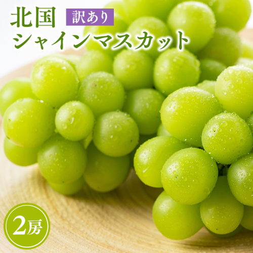 2026年産先行受付　訳あり 北国の冬シャインマスカット2房【原田農園】[hi-0068-001]シャインマスカット 訳あり 家庭用 ぶどう 産地直送 高糖度 平川市 2527075 - 青森県平川市