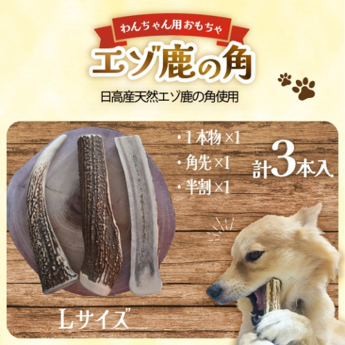 エゾ鹿の角　Lサイズよくばりセット(1本物・角先・半割)[54-1575] 2527078 - 北海道浦河町