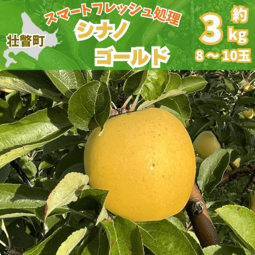 北海道壮瞥町　りんご(スマートフレッシュ)　品種名「シナノゴールド」8～10玉約3kg　SBTF028 2527079 - 北海道壮瞥町
