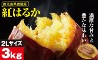 鹿児島県鹿屋産 紅はるか 生芋 2Lサイズ 3kg　KN021-043-01