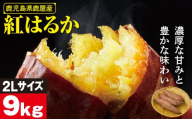 鹿児島県鹿屋産 紅はるか 生芋 2Lサイズ 9kg　KN021-043-03