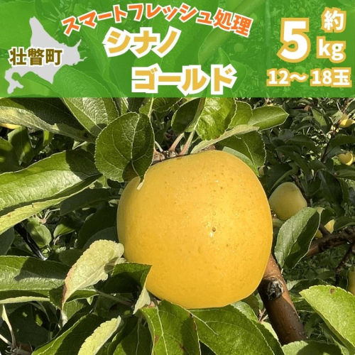 北海道壮瞥町　りんご(スマートフレッシュ)　品種名「シナノゴールド」12～18玉約5kg　SBTF029 2527149 - 北海道壮瞥町