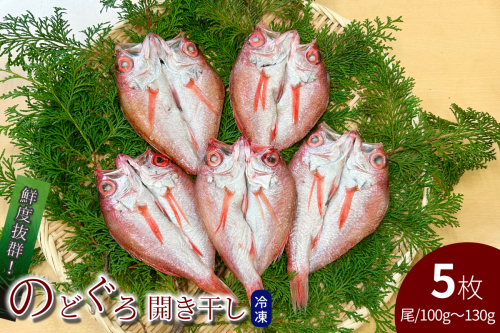 のどぐろ開き干し 100g～130g × 5枚 【176_1788】 2527192 - 島根県浜田市