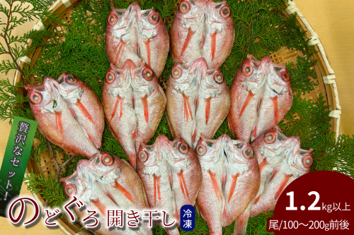のどぐろ開き干し 1.2kg以上 1尾あたり 100g～200g前後 【176_1789】 2527194 - 島根県浜田市