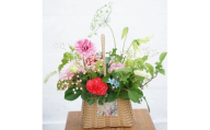 【3回定期便】季節の生花バスケットフラワーM / お花 フラワー アレンジメント バスケットフラワー そのまま飾れる 作家 手作り カゴバッグ 旬の生花 定期便 ナチュラル インテリア お祝い 高知市【株式会社tomoni】 [ATCG053]