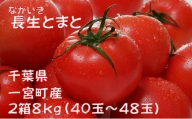長生（ながいき）とまと２箱（40～48個(約8kg)）一宮町産 トマト