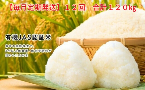 令和4年産【毎月定期12回】有機栽培米コシヒカリ5㎏ 自然栽培米ササニシキ5kg(計10kg×12回) 252770 - 岩手県一関市