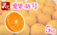 訳あり 愛果48号 約5kg | ( 紅プリンセス と同品種 ) 蜜柑 あいか48号 愛果 アイカ 柑橘 果物 くだもの フルーツ みかん ミカン mikan mican 不揃い 傷 ワケアリ 訳アリ 愛媛県 松山市