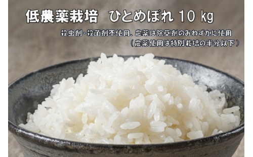 【先行予約】低農薬栽培米　ひとめぼれ 10kg(５㎏×２)