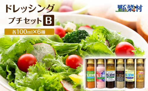 野菜村ドレッシング プチセット B（コールスローマイルド、紅ほっぺいちご×ブルーベリー、和風スパイス、Ｗごまミックス、深みのあるお塩、ごまだれ）各100ｍl 各1本 計6本 ドレッシング 調味料 静岡 浜松市 2527850 - 静岡県浜松市