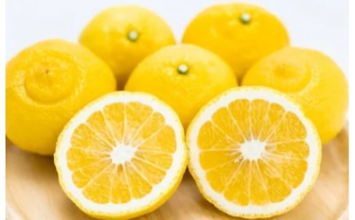 贈答用 森本農園の手選別 はるか 約10kg 和歌山県産 L～2Lサイズ［北海道・沖縄・離島配送不可］［RN155］ 2527999 - 和歌山県上富田町