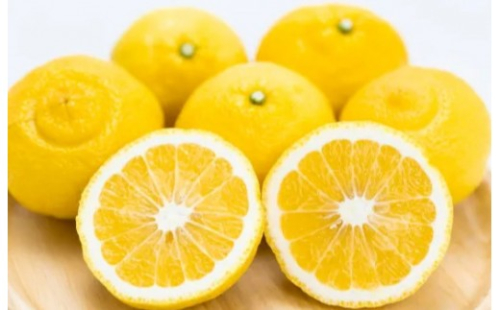 家庭用 森本農園の手選別 はるか 約10kg 和歌山県産 サイズ混合［北海道・沖縄・離島配送不可］［RN158］ 2528001 - 和歌山県上富田町