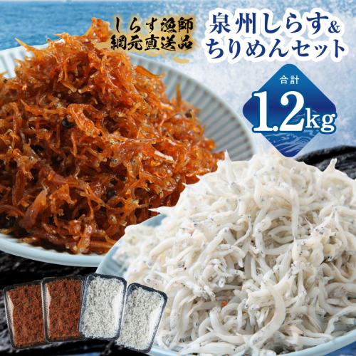 釜揚げしらす＆ちりめん山椒セット 計1.2kg【小分け ちりめん シラス しらす sirasu 海鮮 セット 人気 おすすめ 産地直送】 G3797 2528023 - 大阪府泉佐野市