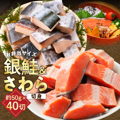 【お弁当サイズ】さわら&銀鮭 切身 計40切れ（各約50g×20切れ） 【小分け 漁師 さけ サケ 手切り  泉州 鰆 切り身 弁当 朝食 時短 訳あり サイズ不揃い 規格外 冷凍食品 】 G3802 2528028 - 大阪府泉佐野市