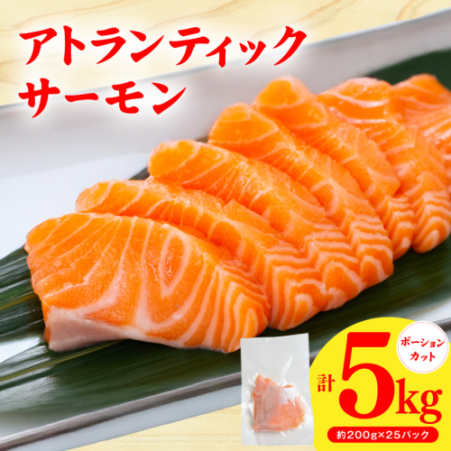 アトランティックサーモン 5kg【小分け 200g×25P 柵切り 刺身 魚介 海鮮 さーもん 生食 お試し】 G3803 2528029 - 大阪府泉佐野市