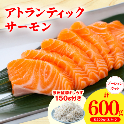 アトランティックサーモン 600g+おまけしらす150g【小分け 200g×3P 柵切 しらす シラス sirasu 刺身 魚介 海鮮 さーもん 生食 お試し】 G3805 2528031 - 大阪府泉佐野市
