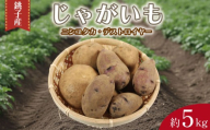 先行予約 じゃがいも 約5kg ニシユタカ デストロイヤー 2種 食べ比べ 芋 イモ サイズ不揃い 期間限定 国産 銚子産 産地直送 野菜 新鮮 美味しい 人気 オススメ 大容量 ポテト 肉じゃが カレー じゃがバター ポトフ シチュー BBQ キャンプ おかず お弁当 お取り寄せ 旬 送料無料 ふるさと納税 千葉県 銚子市 サンズファーム 【2026年5月中旬～2026年9月末頃発送予定】