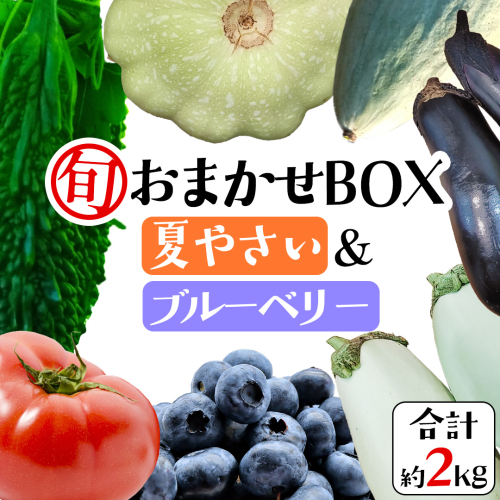 夏野菜 と ブルーベリー の おまかせBOX 計 約2kg ｜ 野菜 果実 果物 おまかせ 旬 新鮮 大容量 くだもの フルーツ おやつ ブルーベリー ベリー ジャム 小分け セット 詰め合わせ 詰合せ 夏バテ [DZ019sa] 2528335 - 茨城県桜川市