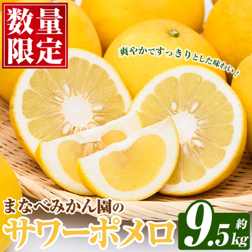 まなべみかん園のサワーポメロ (約9.5kg) 国産 鹿児島県産 阿久根市産 柑橘類 みかん ミカン 蜜柑 果物 フルーツ サワーポメロ 期間限定 数量限定 贈答用 ギフト デザート 【有限会社まなべみかん園】akn034-07 2528431 - 鹿児島県阿久根市