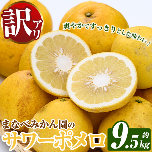 訳あり！まなべみかん園のサワーポメロ (約9.5kg) 国産 鹿児島県産 阿久根市産 柑橘類 みかん ミカン 蜜柑 果物 フルーツ サワーポメロ 期間限定 数量限定 デザート 訳アリ 【有限会社まなべみかん園】akn034-08 2528490 - 鹿児島県阿久根市