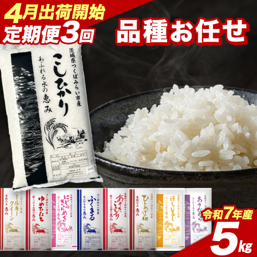 【 定期便（4～6月出荷）】品種おまかせ 5kg ×3回 茨城県つくばみらい市産 令和7年産 精米 こしひかり 米 コメ こめ 単一米 限定 茨城県産 国産 美味しい お米 おこめ おコメ [CL189-NT] 2528832 - 茨城県つくばみらい市