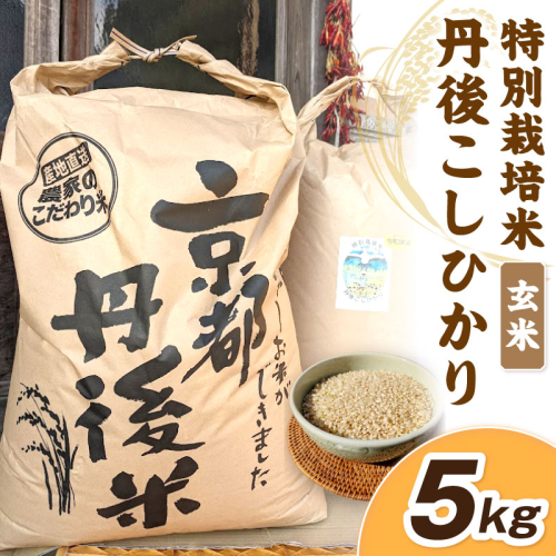 令和7年産　丹後こしひかり　玄米5kg【特別栽培米】新米　米 ブランド米 玄米 特別栽培 白米 特別栽培米 令和7年度 ふるさと納税 こしひかり 2528862 - 京都府京丹後市