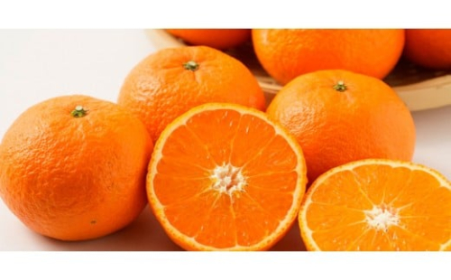 家庭用 森本農園の手選別 津の輝 約2kg 和歌山県産 サイズ混合［北海道・沖縄・離島配送不可］［RN145］ 2529035 - 和歌山県那智勝浦町