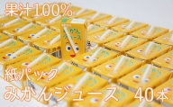 果汁100％ 紙パック みかんジュース 125ml×40本＜131-010_5＞