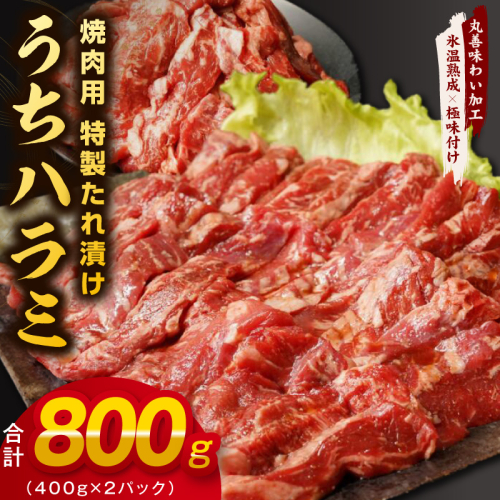 【氷温熟成×特製ダレ】希少部位 牛肉 うちハラミ 800g（400g×2） mrz0398 2529334 - 大阪府泉佐野市