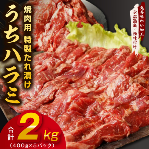 【氷温熟成×特製ダレ】希少部位 牛肉 うちハラミ 2kg（400g×5） mrz0399 2529335 - 大阪府泉佐野市
