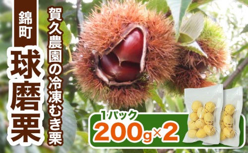 〈賀久農園の球磨栗〉熊本 錦町産 冷凍 むき栗 200g×2 栗 くり クリ 令和8年産 球磨栗 栗ご飯 数量限定 果物 フルーツ ※配送不可：離島 2529530 - 熊本県錦町