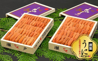 C-29013 エゾバフンウニ(赤系)110～120g×2折