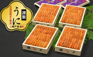 D-29008 エゾバフンウニ(赤系)110～120g×4折
