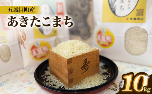 五城目町産 あきたこまち 10kg 2529713 - 秋田県五城目町