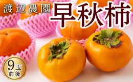 配送時期：2025年9月下旬から10月上旬 出荷予定(配送時期は、気候等により変動する場合がございます。)栽培期間中、減農薬・除草剤不使用で栽培を行っています。土壌分析を行いミネラルを配合した土づくり