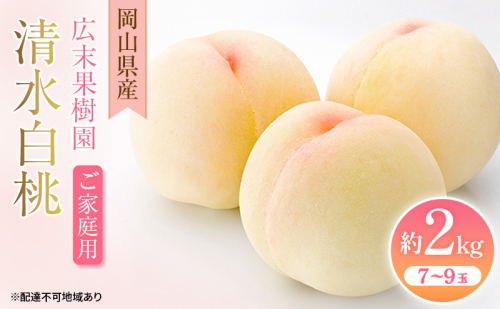 【2026年先行予約】 桃 岡山県産 ご家庭用 清水 白桃 約2kg（7～9玉）《2026年7月中旬-8月上旬頃出荷》 白桃 岡山 はくとう スイーツ フルーツ 果物 先行予約 数量限定 期間限定 岡山 里庄町 モモ もも 桃 2529814 - 岡山県里庄町