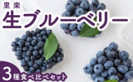 P311-06 里楽 生ブルーベリー3種食べ比べセット 6月15日〜6月30日 出荷予定