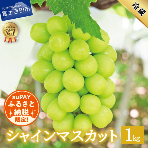 【au PAY ふるさと納税限定】【2026年発送 先行予約】数量限定！山梨県産シャインマスカット約1kg（2～3房） 2529868 - 山梨県富士吉田市