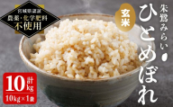 ＜宮城県認証 農薬・化学肥料不使用＞ひとめぼれ 玄米 10kg(10kg×1袋) 朱鷺みらい 玄米 登米市産 お米 おこめ 米 コメ 白米 ご飯 ごはん おにぎり お弁当 【オーガニックとめネットワーク】tm392