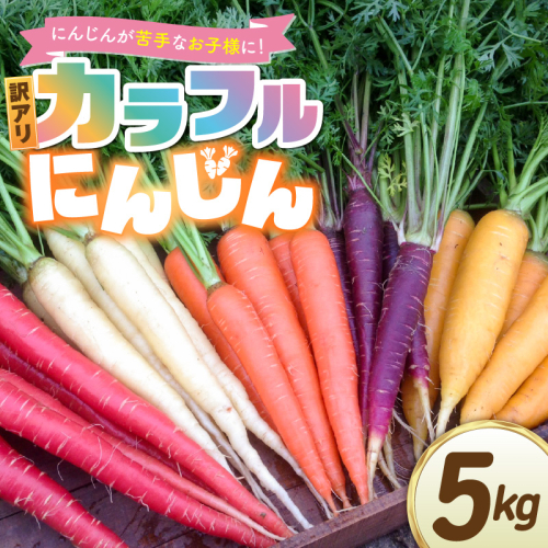 〈予約受付〉 メディア出演多数！【期間限定】（訳あり） 冬の寒さでぎゅっと濃い！虹色のカラフルにんじん 5kg 鈴盛農園 農家直送 甘い スーパーフード 健康 自慢 ジュース サラダ ギフト 贈り物 βカロテン ポリフェノール リコピン ジューシー 規格外 自慢 おためし H022-017 2530002 - 愛知県碧南市