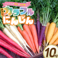 〈予約受付〉 メディア出演多数！【期間限定】（訳あり） 冬の寒さでぎゅっと濃い！虹色のカラフルにんじん 10kg 鈴盛農園 農家直送 甘い スーパーフード 健康 自慢 ジュース サラダ ギフト 贈り物 βカロテン ポリフェノール リコピン ジューシー 規格外 自慢 おためし H022-018