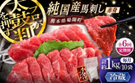 【全6回定期便】【冷蔵】純国産馬 赤身馬刺し盛り 計約1kg (約100g×10個) / ばさし 馬刺 あかみ 熊本馬刺し 熊本県 菊陽町【株式会社古閑ファーム】 [BHDF040]