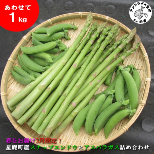 ★2026年春3月お届け★星鹿町産スナップエンドウとアスパラガス詰め合わせ1kg( スナップエンドウ スナップえんどう アスパラガス 新鮮 松浦市 )【A9-041】 2530124 - 長崎県松浦市