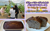 【東京都立農業高等学校 定時制課程食品化学科×福祉作業所（ワークセンターこむたん）】ブルーベリージャムパウンドケーキ