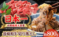 【大自然の贈り物！】長崎和牛 切り落とし 約800g【ながさき西海農業協同組合】 [DBV009] [DBV009]