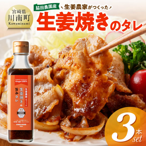 脇田農園産　生姜農家が作った生姜焼きのタレ3本セット 【 生姜 ショウガ 国産 宮崎県産 九州産 川南町産 農家直送 しょうが 生姜焼きのたれ 】 2530300 - 宮崎県川南町