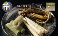 3種の山菜「山宝」ふき・わらび・姫竹 オホーツク枝幸産