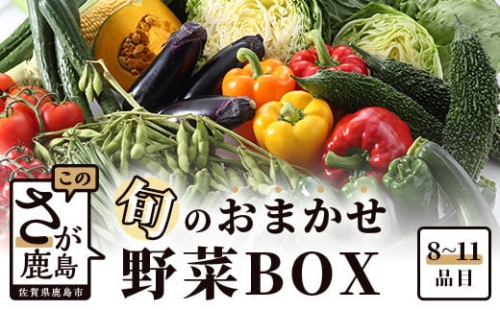 AA-4 旬のおまかせ野菜BOXセット【 野菜 果物 旬 セット 詰め合わせ 】