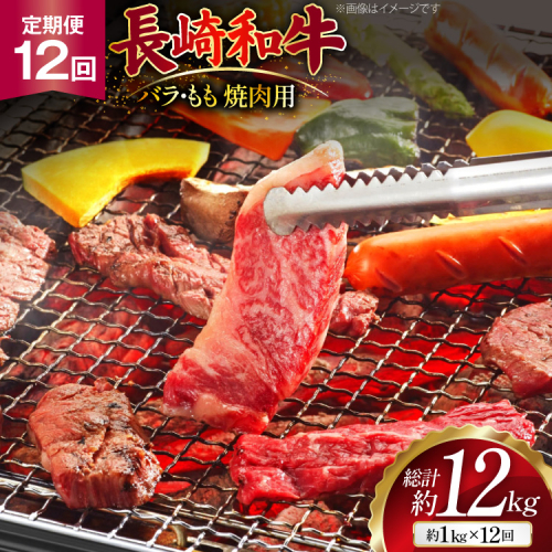 AJ573 【12回定期便】長崎和牛 焼肉セット 計約1kg バラ 霜降り(500g)・もも(500g) [ 肉 牛肉 和牛 高級 おいしい ステーキ肉 まるしん商会 黒牛 長崎県 島原市 ] 2530994 - 長崎県島原市